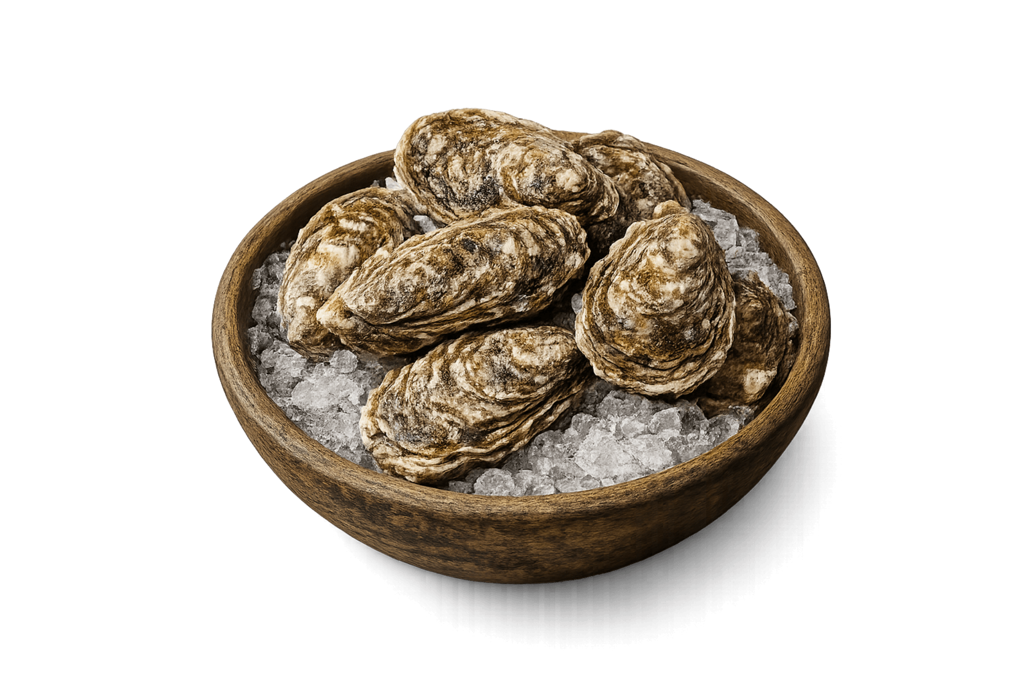 Bowl of oysters on ice